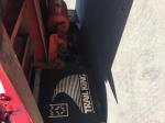 PETERBILT 377
