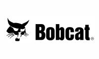 Bobcat